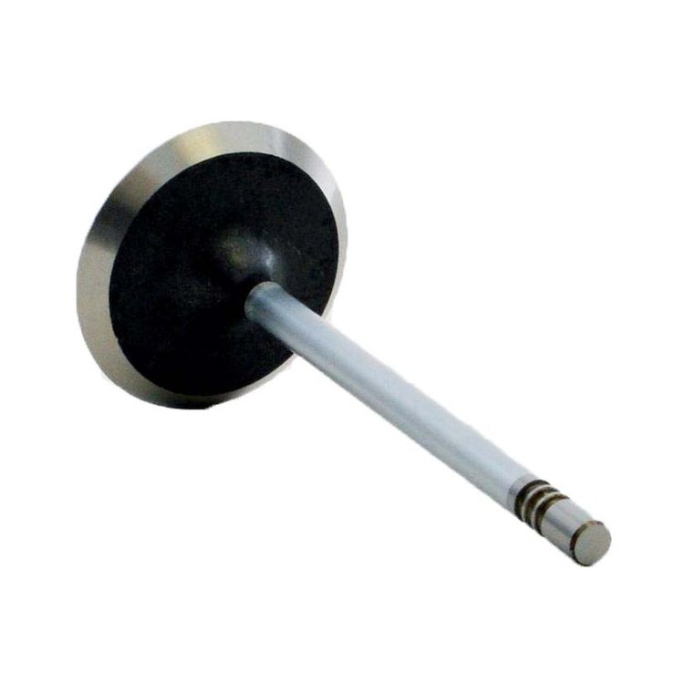 V3704B Intake Engine Valve for Chrysler, 4.7L