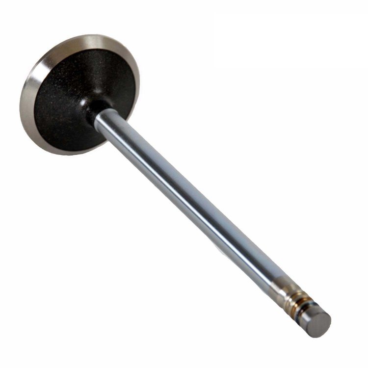 V4347 Exhaust Engine Valve for 2001-2010 Chrysler, Dodge 3.3L, 3.8L
