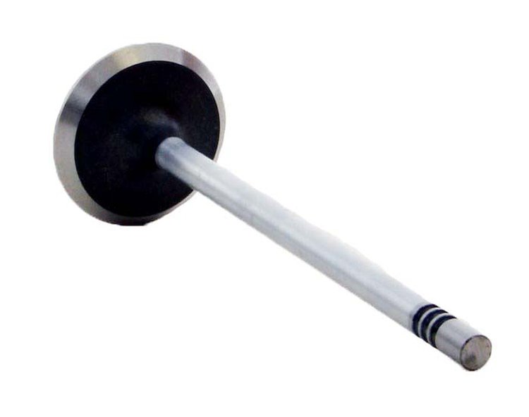 V4376 Intake Engine Valve for Ford, 4.6L, 5.4L, 6.8L