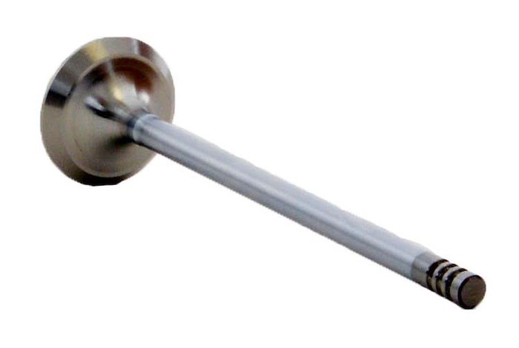 V4379 Exhaust Engine Valve for 2001-2005 Dodge 2.0L