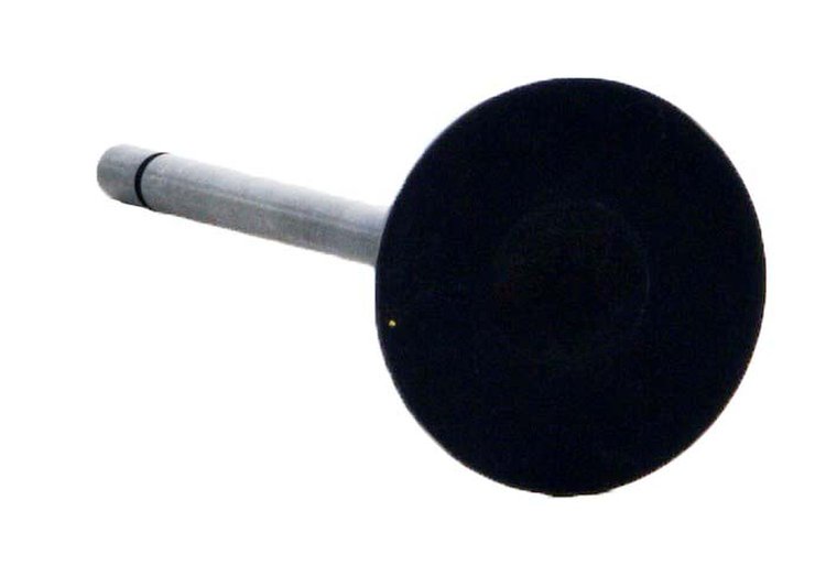 V4385 Exhaust Engine Valve for 2000-2006 Ford, Lincoln 3.9L