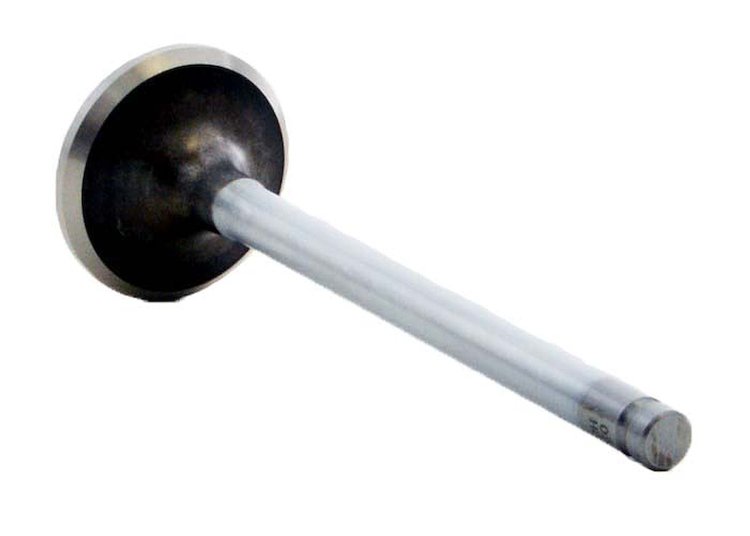 V4422 Engine Valve for GM/Buick, 3.8L 231