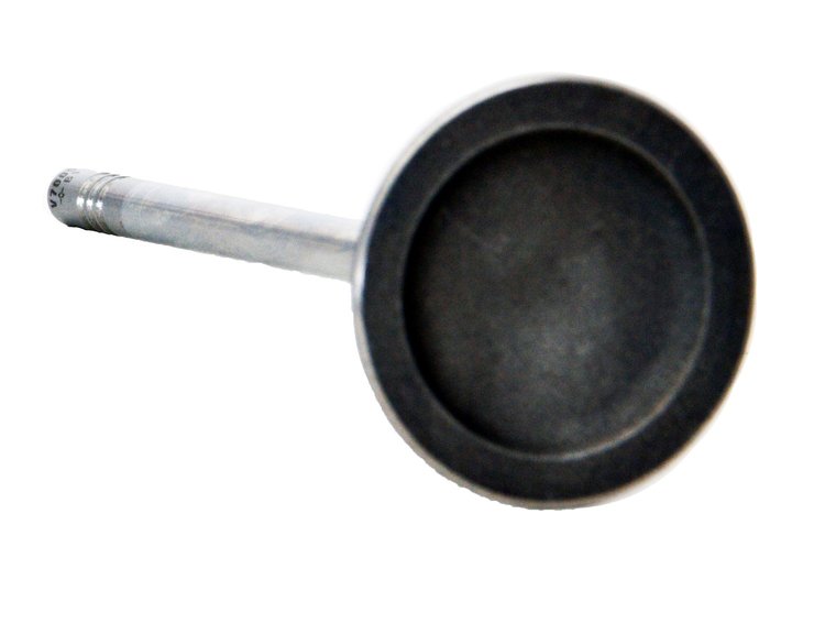 V4462 Intake Engine Valve for Ford, 5.0L