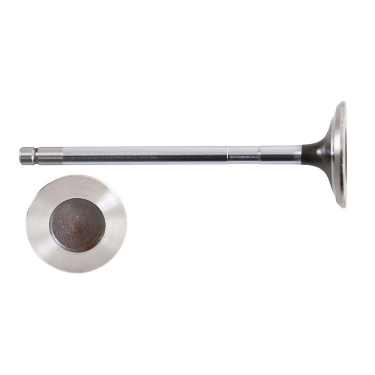 V4499S Exhaust Engine Valve for 2010-2021 Ford, Lincoln 3.5L