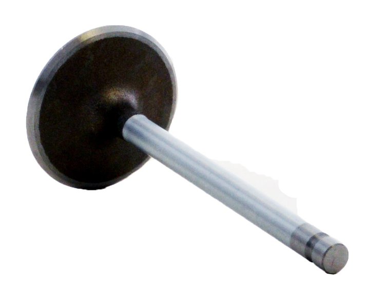 V8100 Intake Engine Valve for GM/Chevrolet, 8.1L 496