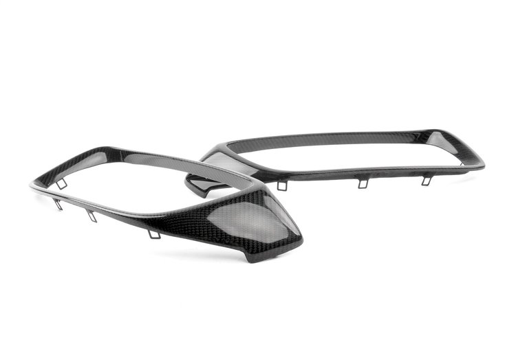 CARBON KIDNEY GRILLE SET