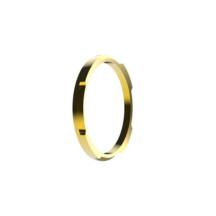 FLEX ERA 1 BEZEL RING