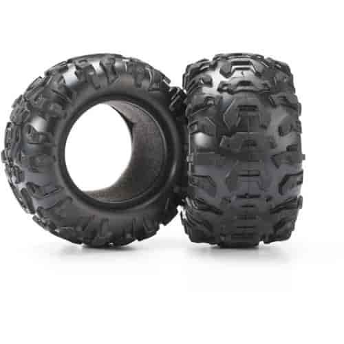 Tires Canyon AT 2.2 2 / foam inserts 2