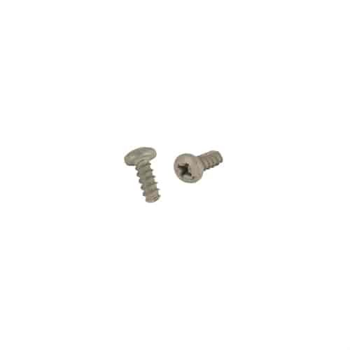 WINDOW REG TRACK SCREW