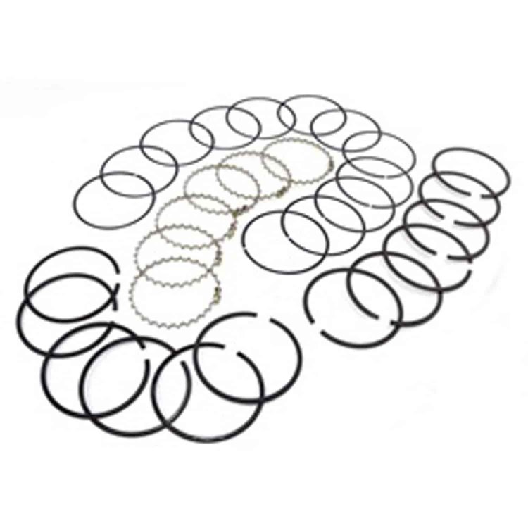 Piston Ring Set 2.5L AMC .020 inch Over 1983-1995 Models