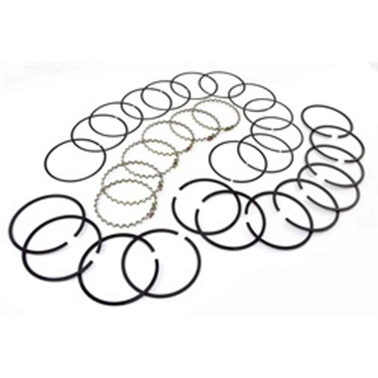 Piston Ring Set 3.8L or 4.2L .020 inch Over 1972-1990 Models