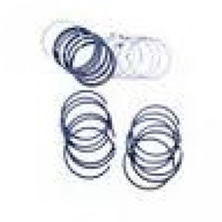 Piston Ring Set 3.8L or 4.2L .060 inch Over 1972-1990 Models
