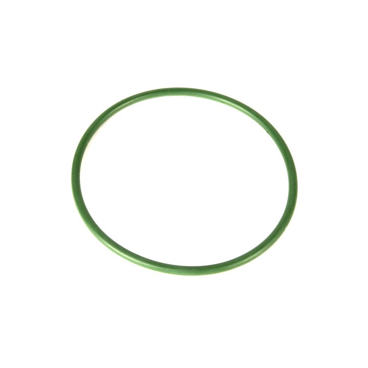 FUEL PUMP MODULE SEAL