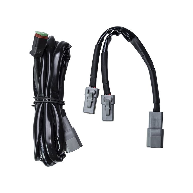 HARNESS