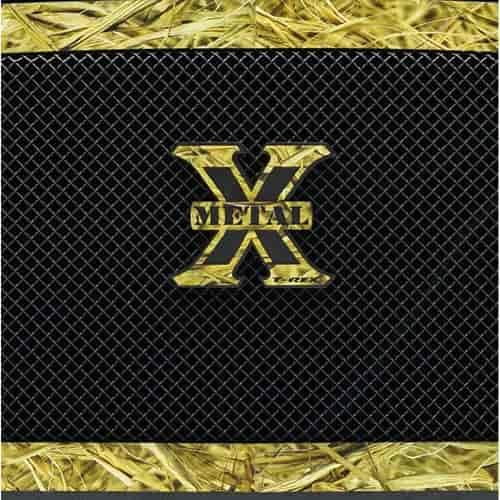 Graphic Series Grille 2013-14 Ram 2500/3500