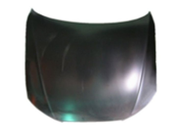 CAPA HOOD PANEL ASY AUDI