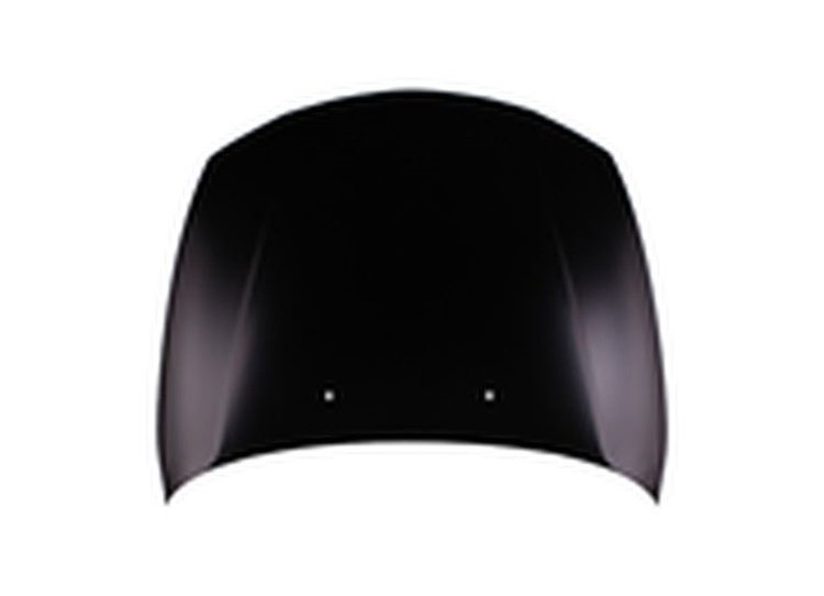 CAPA HOOD PANEL ASY E82|E