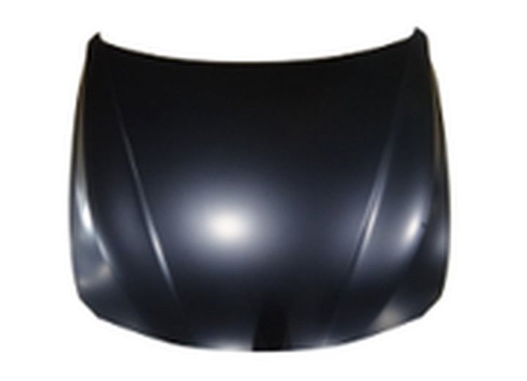 CAPA HOOD PANEL ASY F30 S