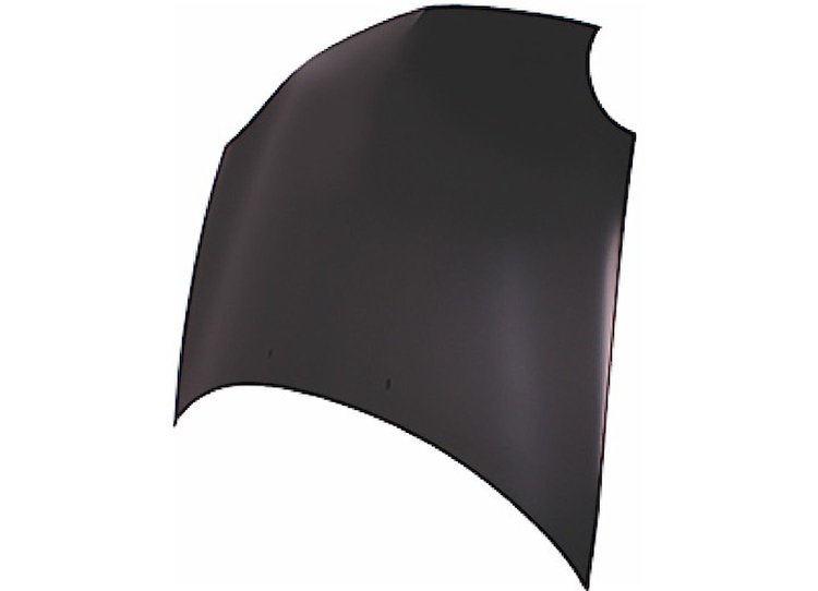 HOOD PANEL ASY W/O SRT4 N