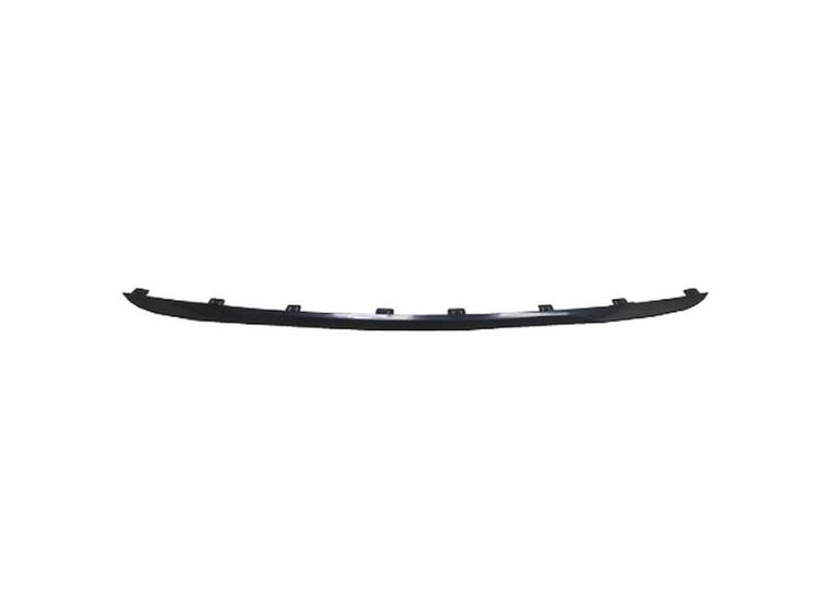 RR BUMPER MOLDING (P) CHR