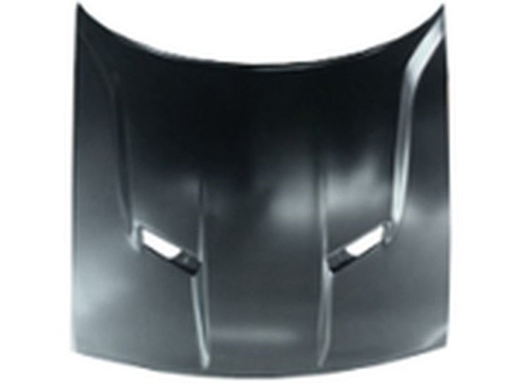 CAPA HOOD PANEL ASY R/T|R