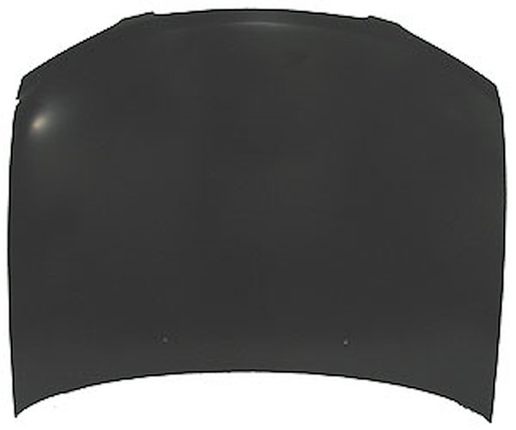 HOOD C SENTRA 00-03