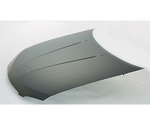HOOD C SENTRA 04-06