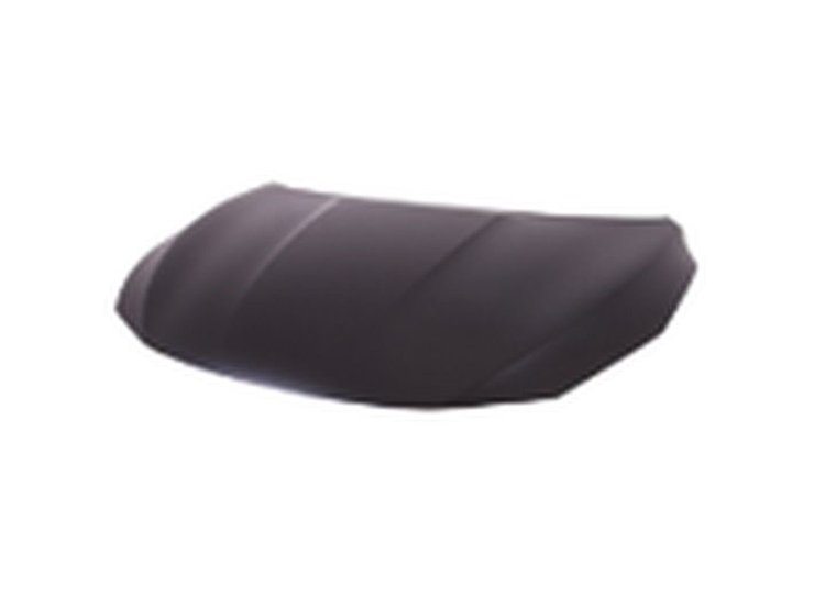 HOOD SENTRA 07-11