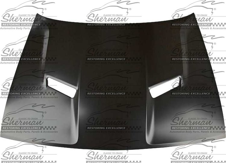 HOOD PANEL ASY R/T|R/T PL