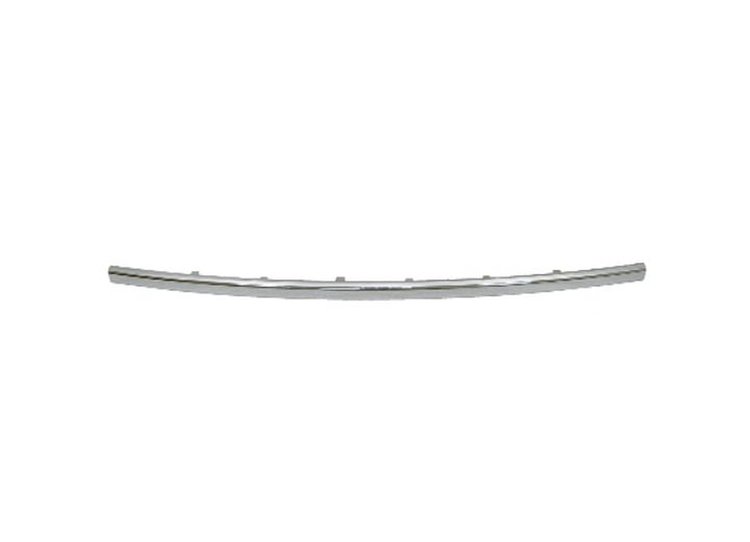 REAR BUMPER MOLDING CENTE