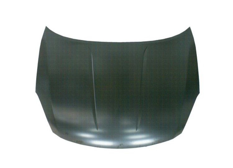 HOOD ROGUE 08-11