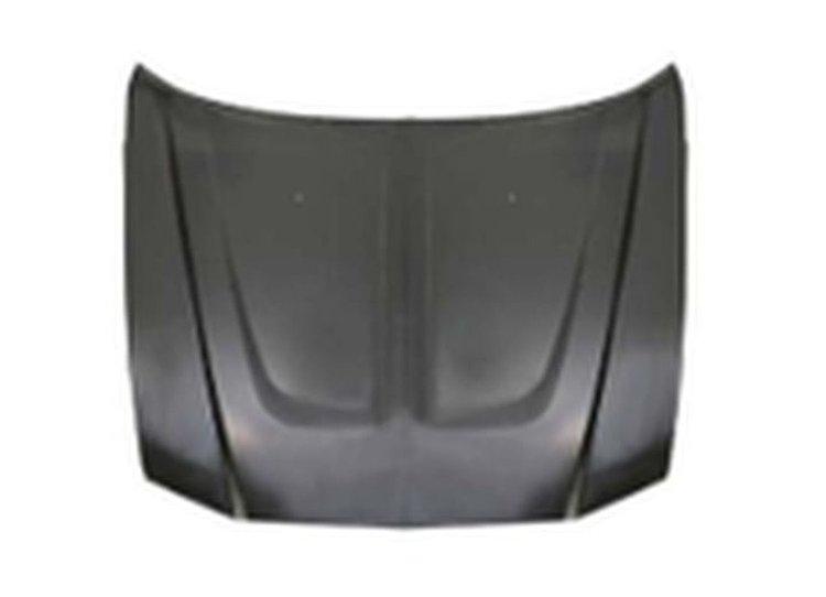 HOOD PANEL ASY STEEL DODG