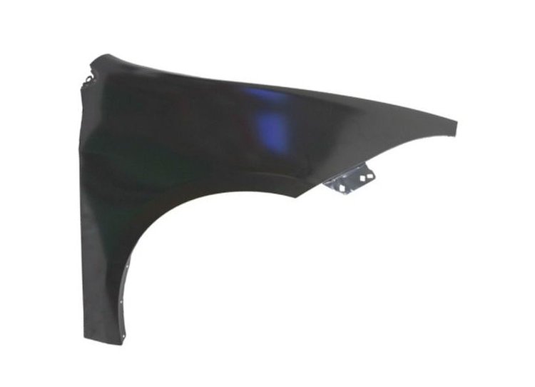 RH FRONT FENDER ASY DODGE