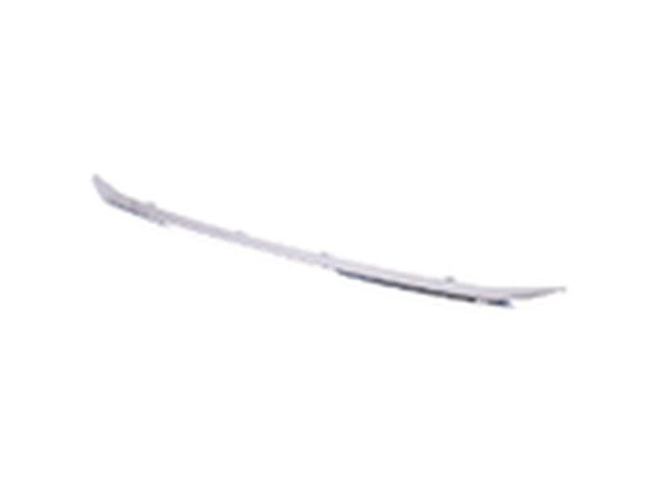 FRONT BUMPER MOLDING LOWE