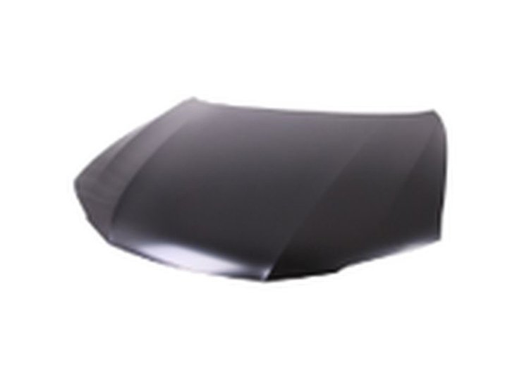 CAPA HOOD PANEL ASY COUPE