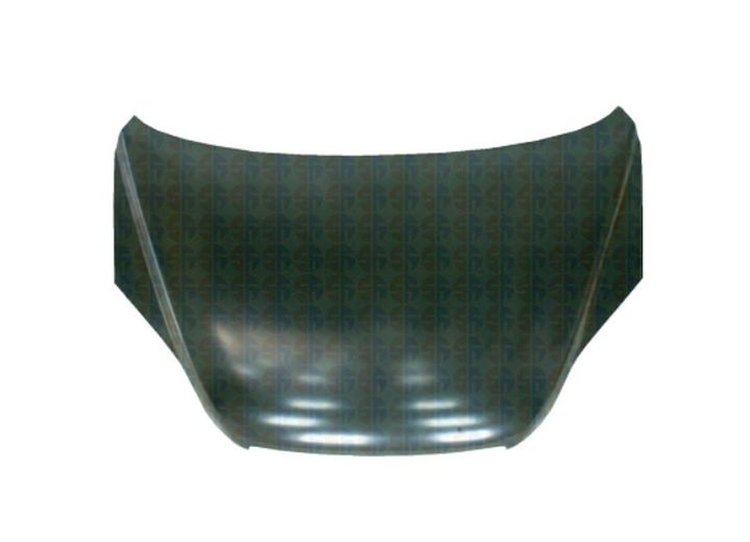 CAPA HOOD PANEL ASY ALL H