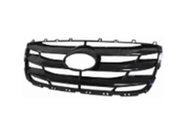 CAPA GRILLE ASY PTM HYUND