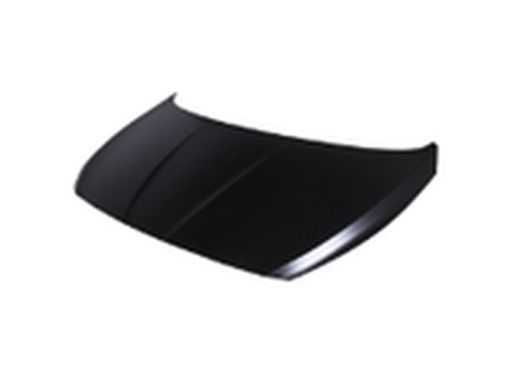CAPA HOOD PANEL ASY HYUND