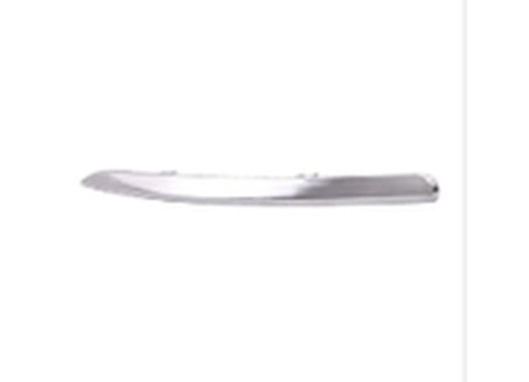 LH FRONT BUMPER MOLDING C
