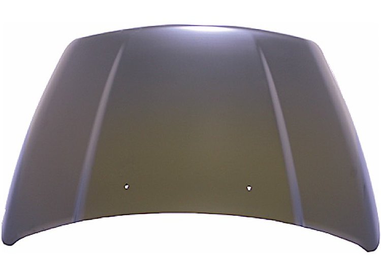 HOOD DURANGO 04-06