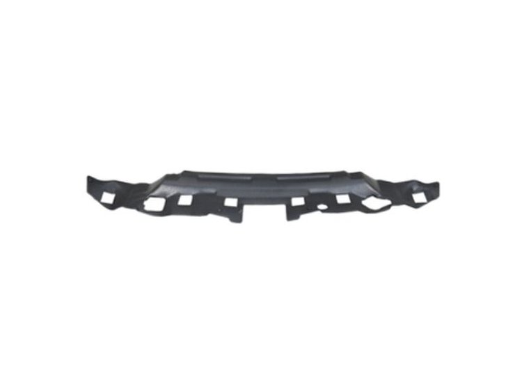FRONT PANEL MOLDING RAM 1