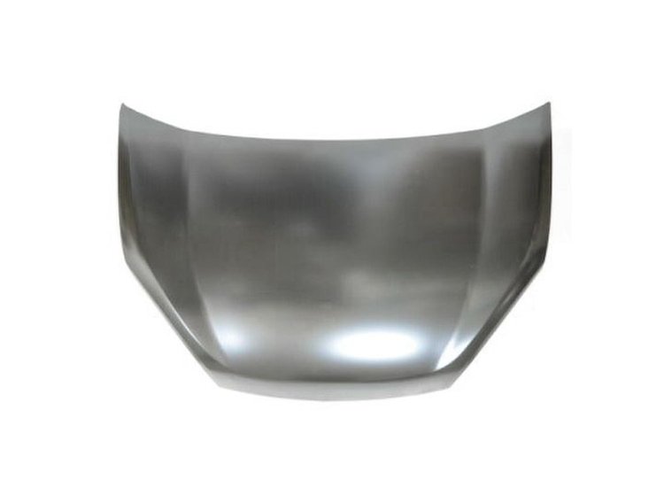 HOOD PANEL ASY RAM PROMAS