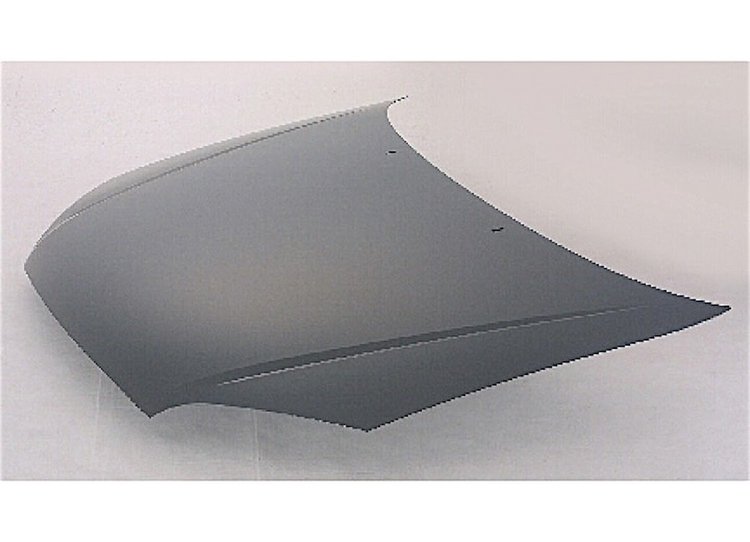 HOOD C FOCUS 05-07