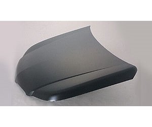 HOOD TORRENT W/O GXP 06-09