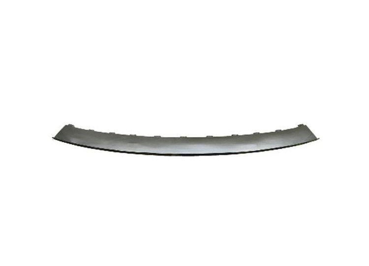 REAR BUMPER STEP PAD BUIC
