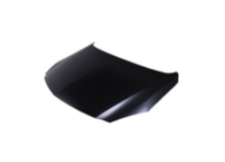 HOOD PANEL ASY STEEL BUIC