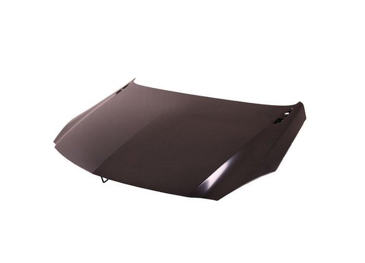 HOOD PANEL ASY STEEL BUIC