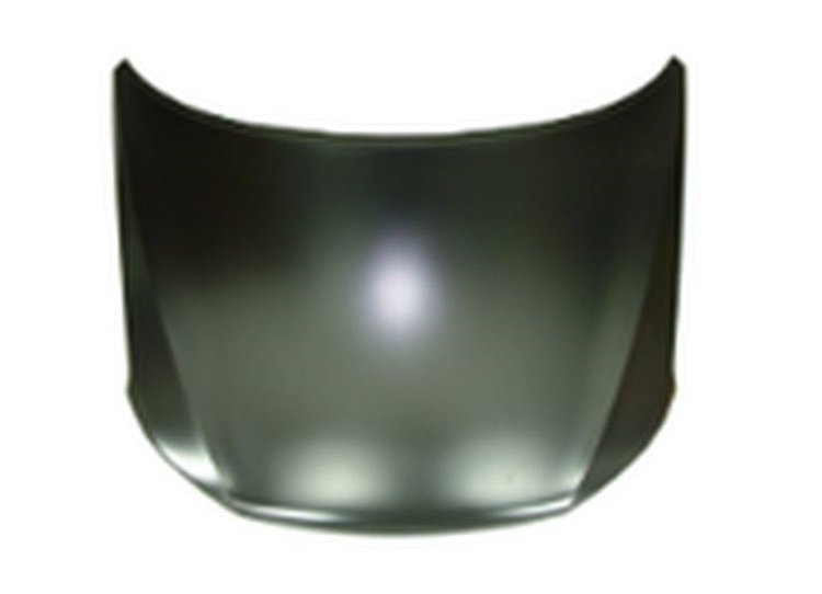 CAPA HOOD PANEL ASY W/O T