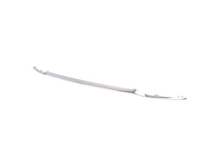 CAPA RR BUMPER MOLDING W/