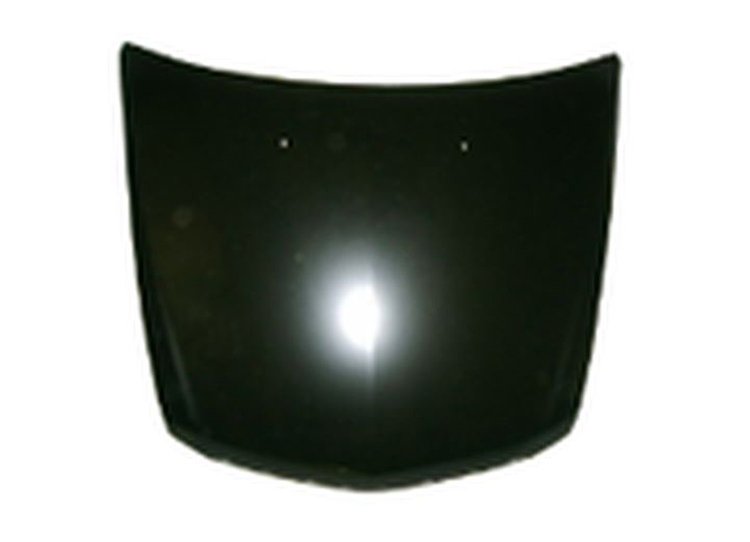 CAPA HOOD PANEL ASY EXC V